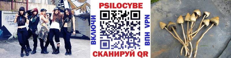 Купить где  Домодедово  Галлюциногенные грибы Psilocybine cubensis 